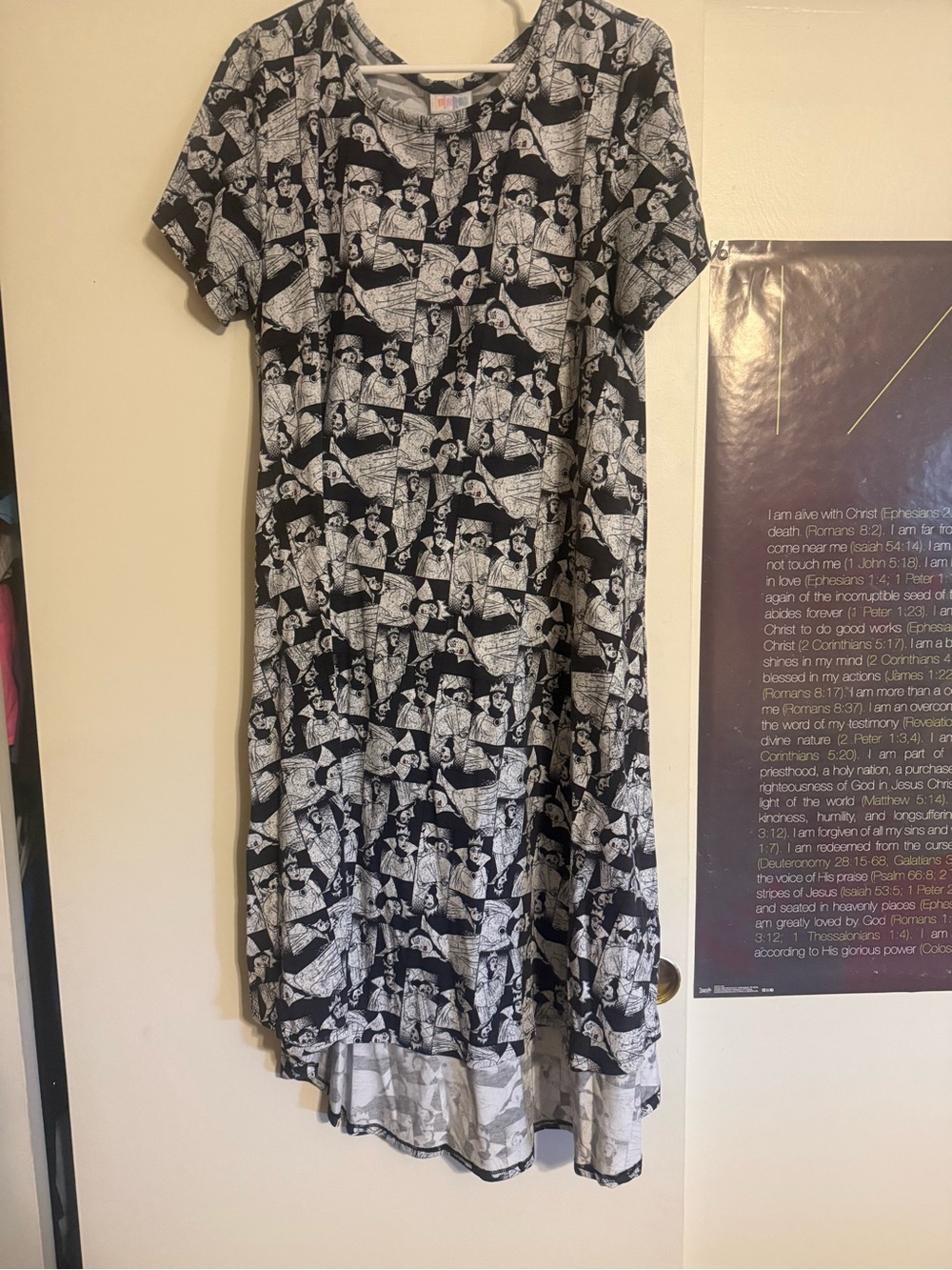 Lularoe “Evil Queen” dress.